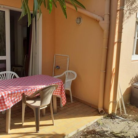 Bel Appartement Bord De Mer Cerbère Eksteriør bilde